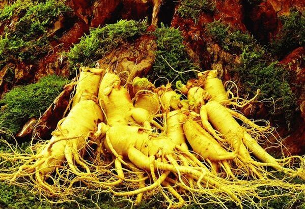 Drogas naturais por potencia