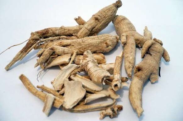 Raíz de ginseng para aumentar a potencia