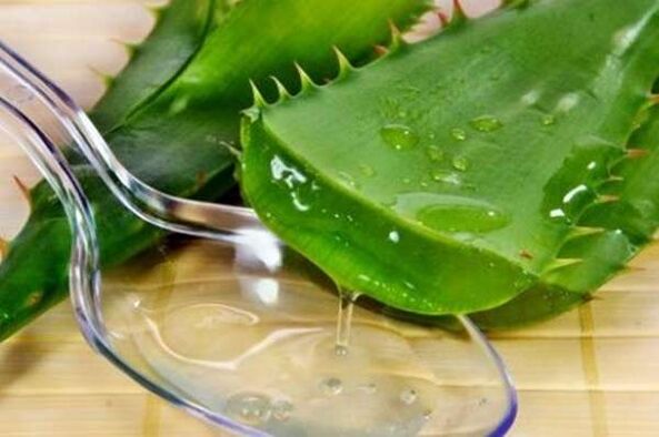 Zume de aloe para ereccións fortes