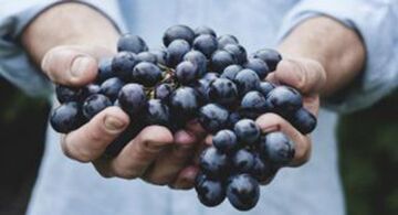 As uvas axudan a fortalecer a erección